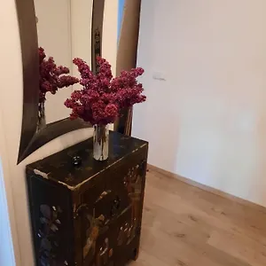 Apartment Schone In Der Grazer Innenstadt, Graz