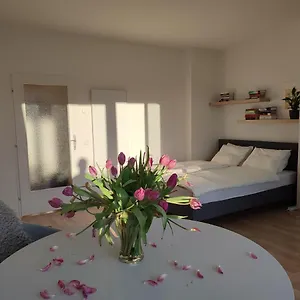 Apartment Mit Terrasse In Zentraler Lage, Graz